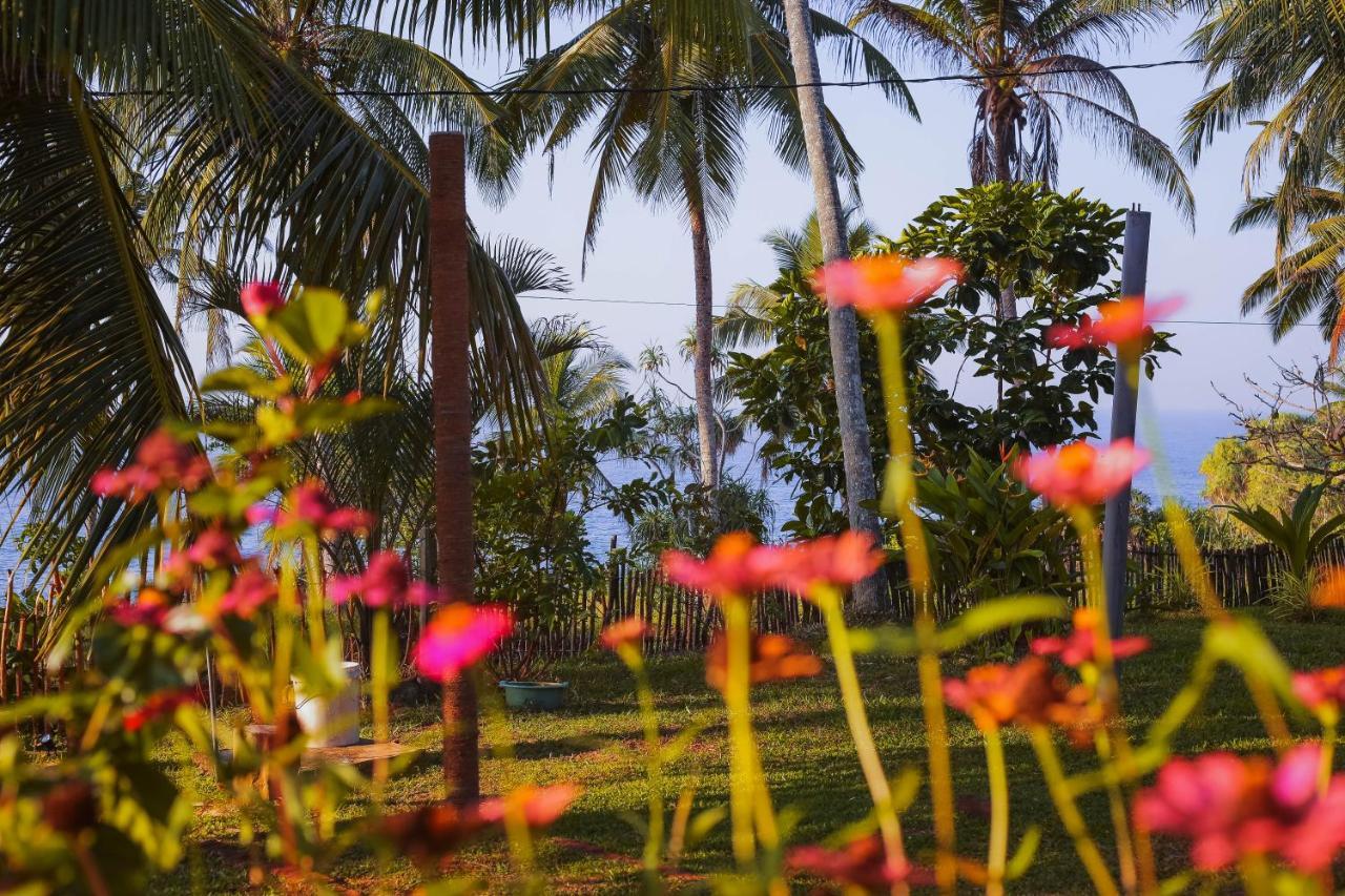Tehan Homestay Dikwella Exterior foto