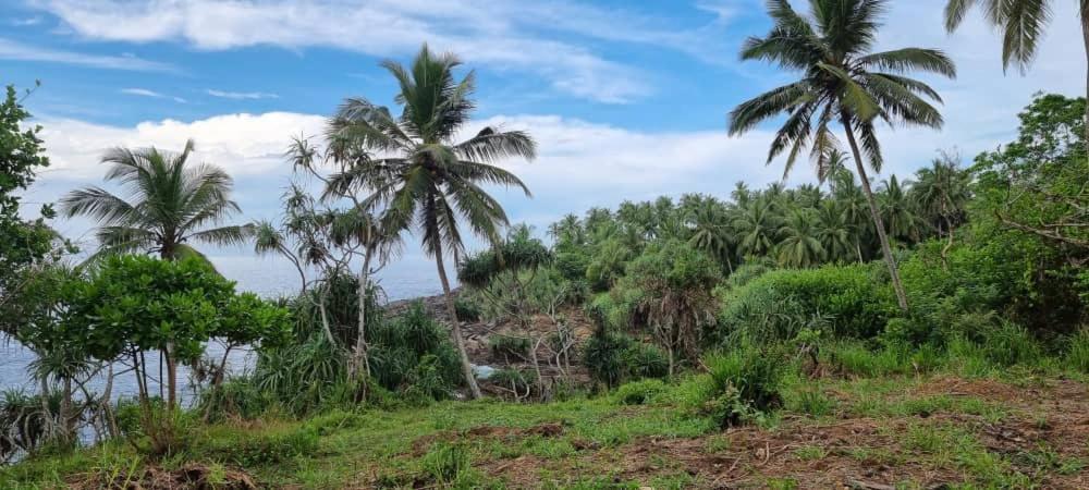 Tehan Homestay Dikwella Quarto foto