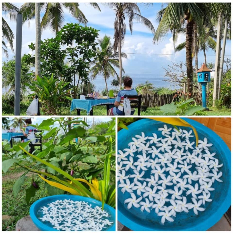 Tehan Homestay Dikwella Quarto foto